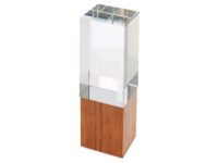 Награда «Wood and glass»